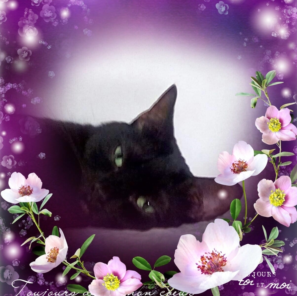 Meet your Posher, Eva